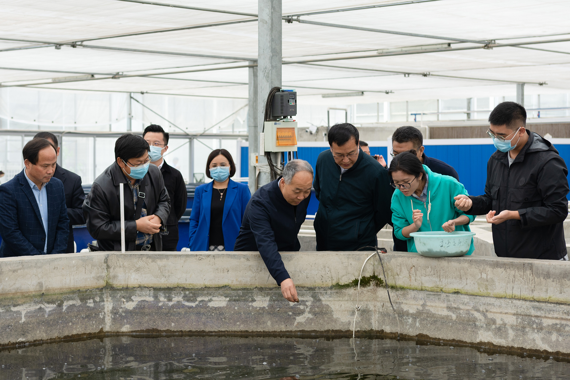 马有祥一行考察调研水产养殖基地 (记者 彭雨格 摄)